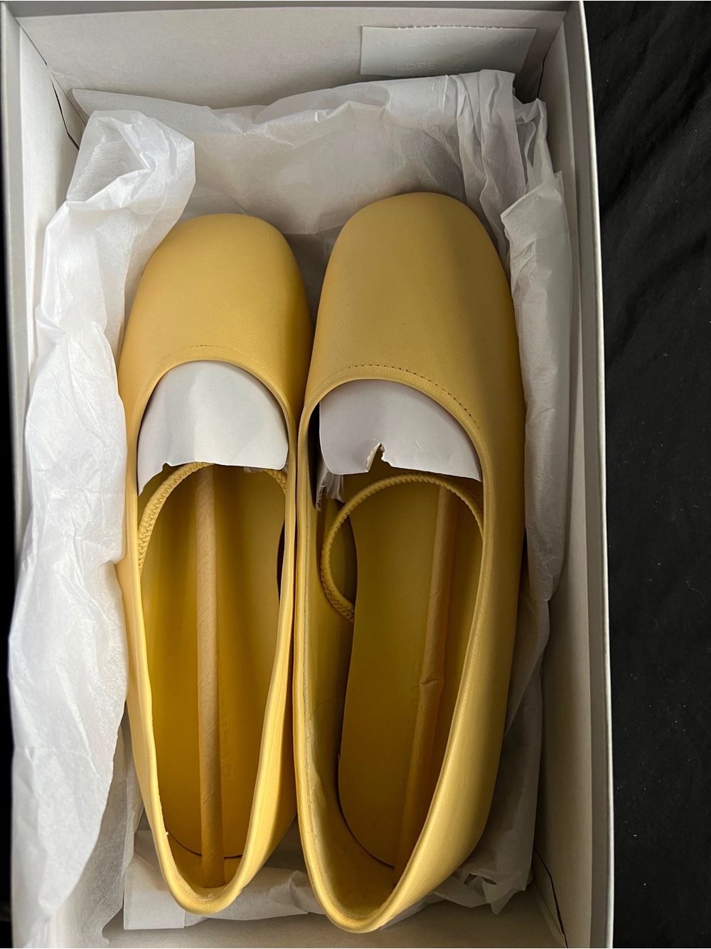 Everlane the Day Mary Janes Women’s Flats